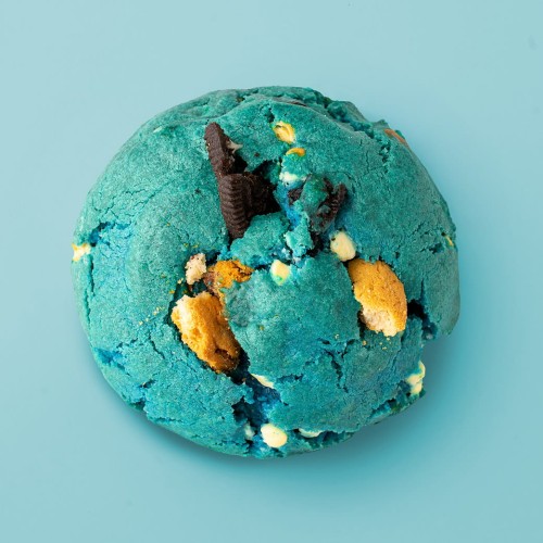 COOKIE MONSTER kolor NOWO ok bb.jpg