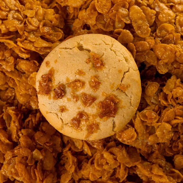 honey corn f1.jpg